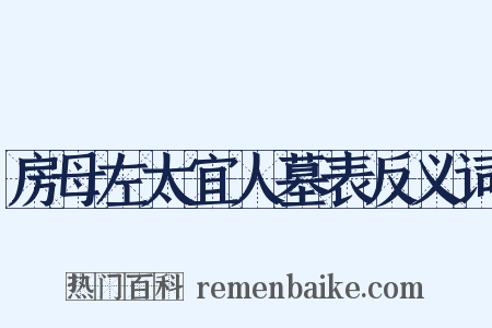 房母左太宜人墓表反义词是什么意思的图片